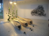NATURE-NOW-1