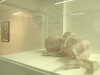 5-yc3-expo-esther-bruggink